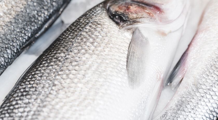 ����� ������� ��������� ������� ����������� ���� � ������������� ����� �������