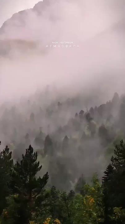 ��� � �������� ������. ������ ��������� �� ������� � ��� �!�