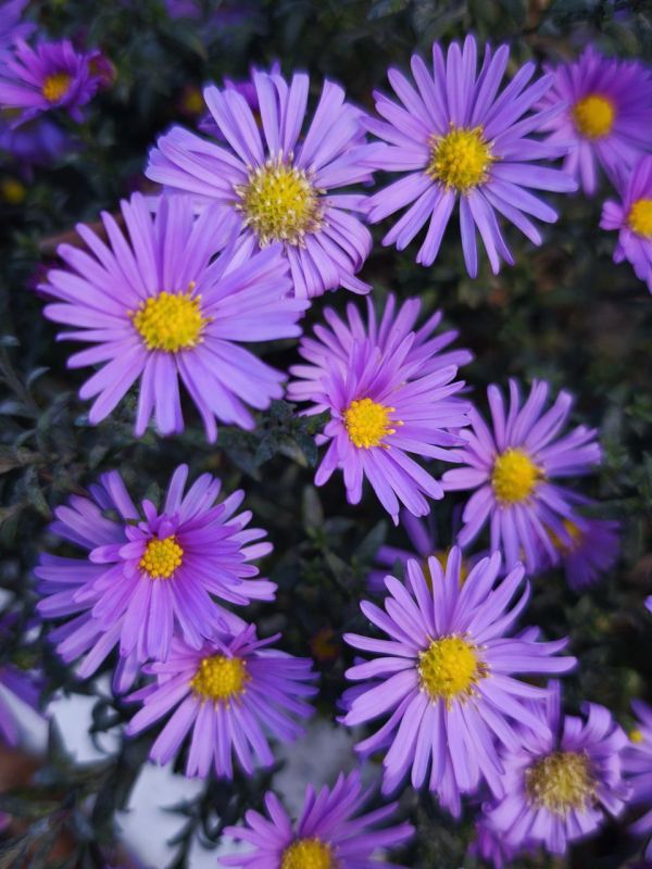 С добрым утром, кировчане!