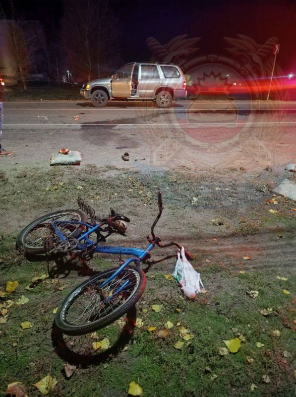 Водитель автомобиля сбил велосипедистку в Старобельском округе