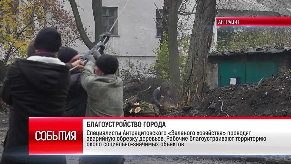 Специалисты Антрацитовского «Зеленого хозяйства» проводят аварийную обрезку деревьев