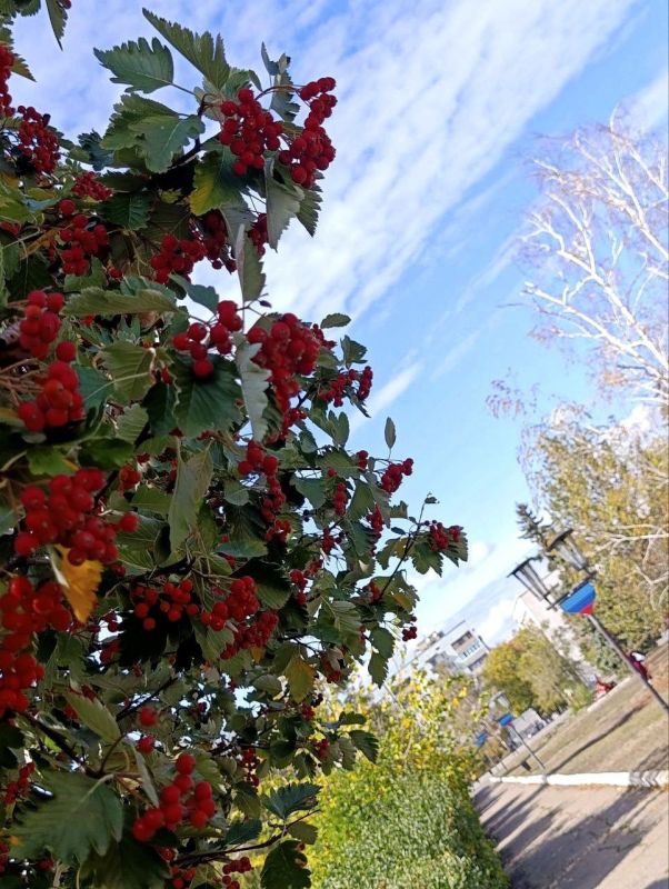 Доброе утро, дорогие кировчане!