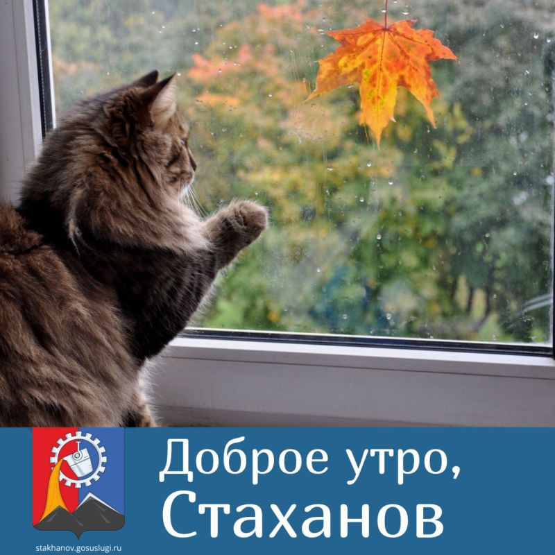 ������ ����, ��������!. ������� ������� �������� � ������ �������� ���� ��������� ��������, � ������, ������� ����� �������� ������ � �����