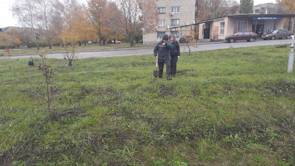 Накануне Дня народного единства работники отдела по делам территорий провели акцию по озеленению пгт Ивановка