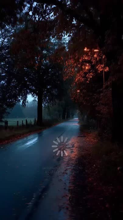 ��� � ������ ���� ������������ ���, ��� �����, ����� � ������ � ������� ����������� ����