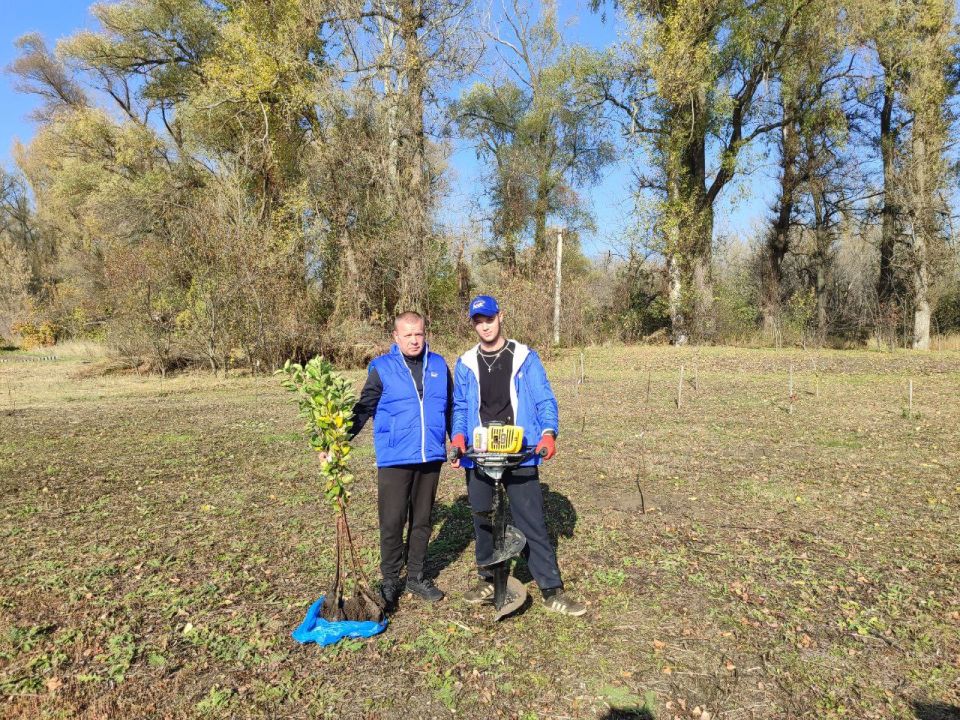 Единороссы высадили «Алею единства»