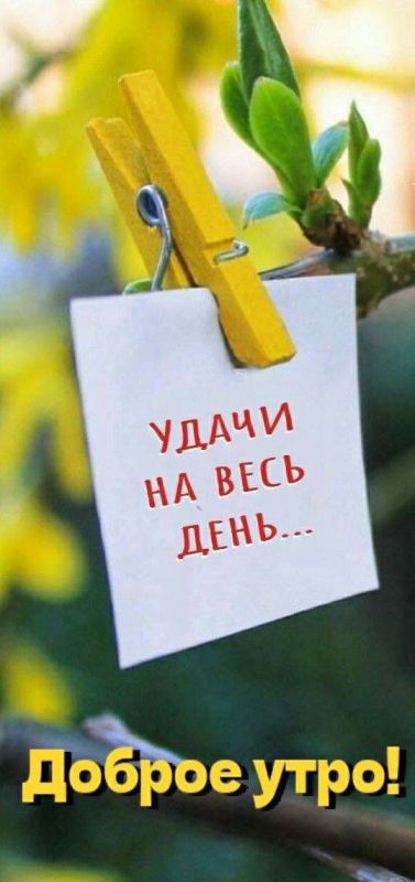 � ������ �����!. ������� 4 ������, �������! ������� � ������: