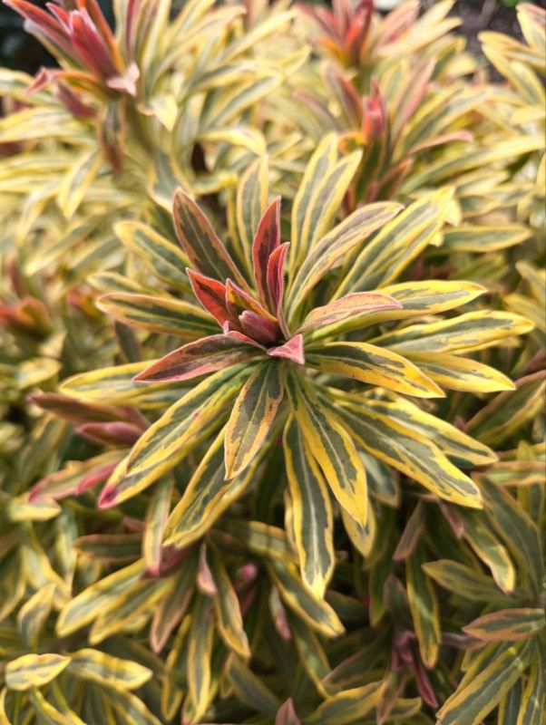 С добрым утром, жители Марковского муниципального округа!