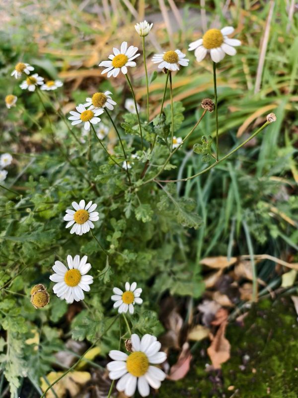 Доброе утро, любимый Свердловск!