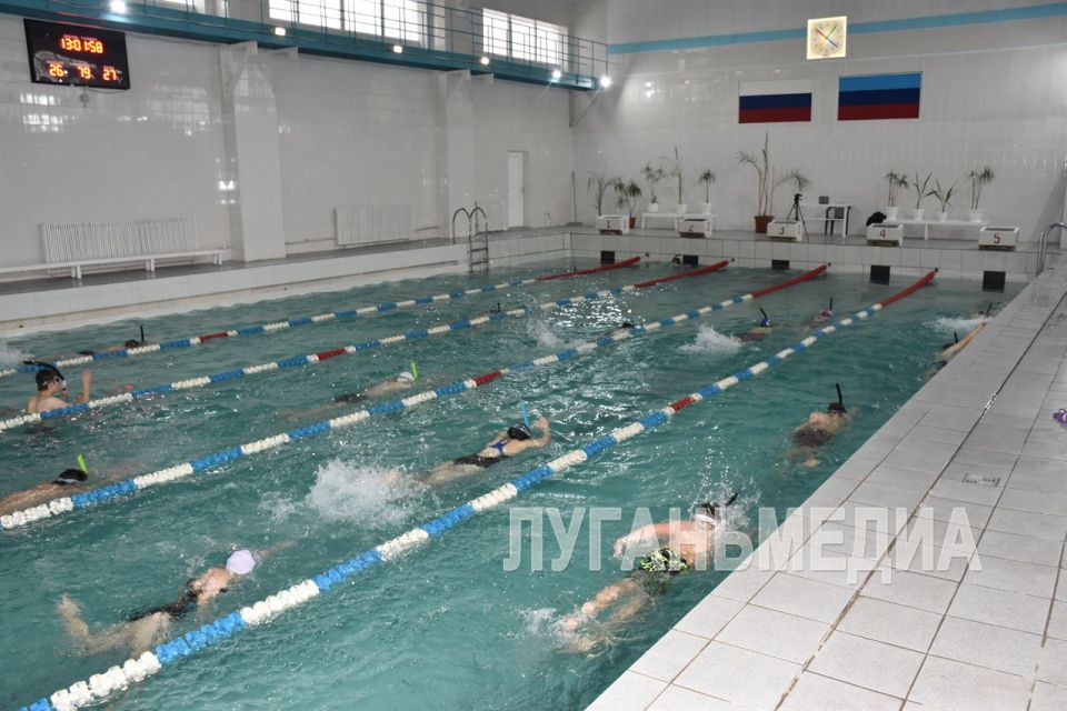 Мастера по плаванию из Москвы и Ярославля провели для юных спортсменов Кировска тренировочное занятие с новым инвентарем