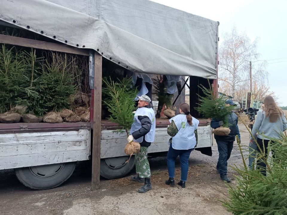 ������ �������: ���������� �������������� ����������� ���� ������ �������� ������������ ��������� �������� ��� ����� 1500 �������� ��������