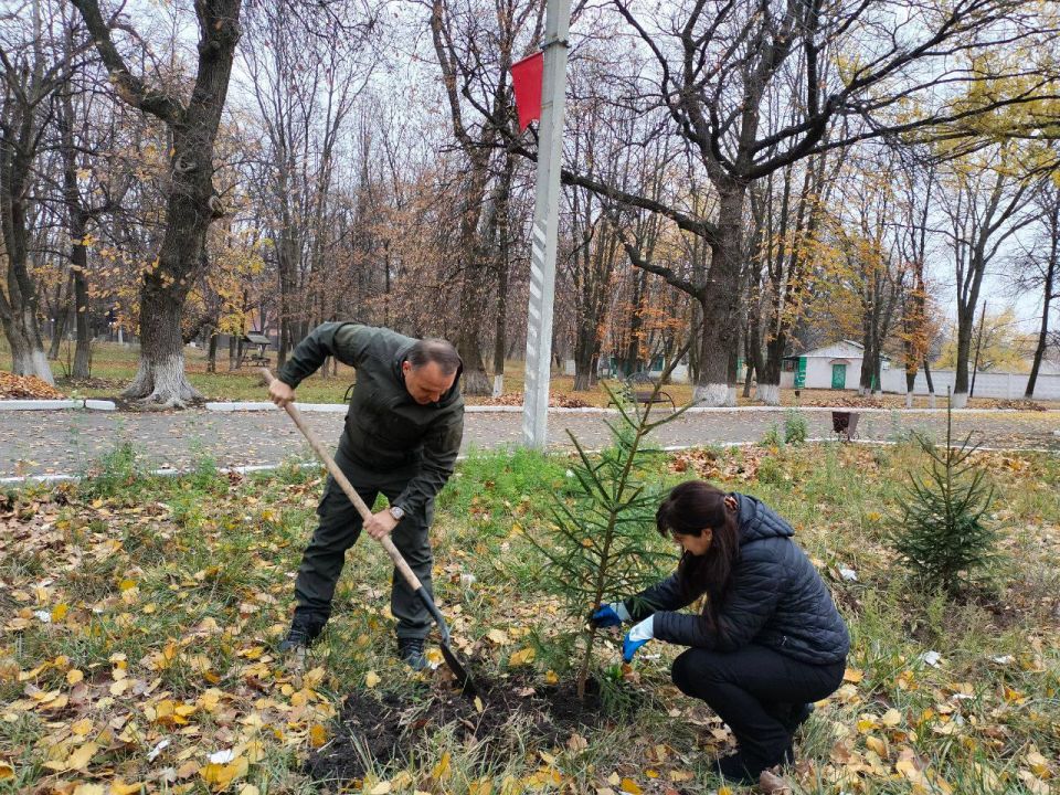 "Сад Памяти-2025" в Ровеньках: наш вклад в живую летопись поколений»