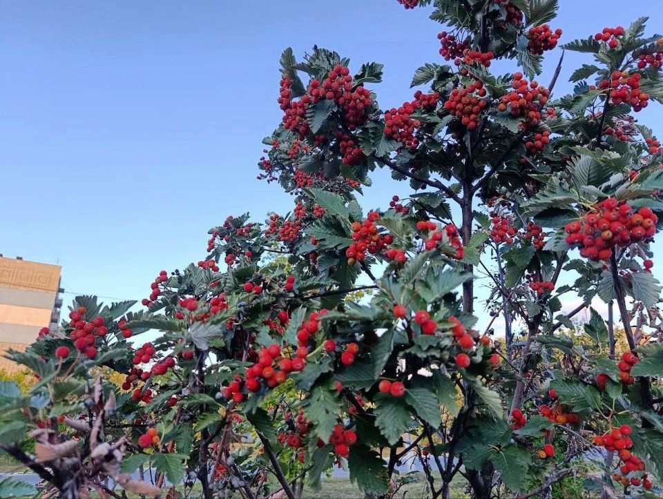 Всем жителям нашего города - Доброе утро!