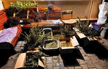 В Северодонецком округе задержан наркоторговец