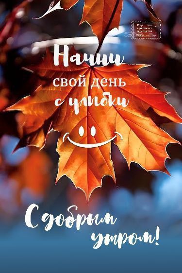 � ������ �����!. ������� 7 ������, �������! ������� � ������: