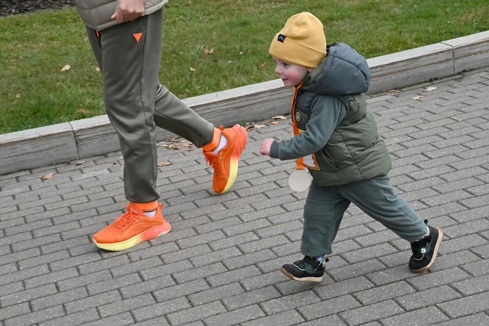 �� ������� ������ � ���������, ������� ������� ��������� ��������� �����������