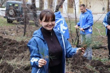 Стаханов вновь присоединился к всероссийской акции «Сохраним лес»