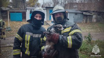 Из-за включенного обогревателя едва не сгорела квартира в Первомайске