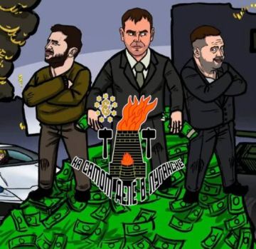 Винницкий депутат «купил» жену с инвалидностью ради отсрочки от мобилизации