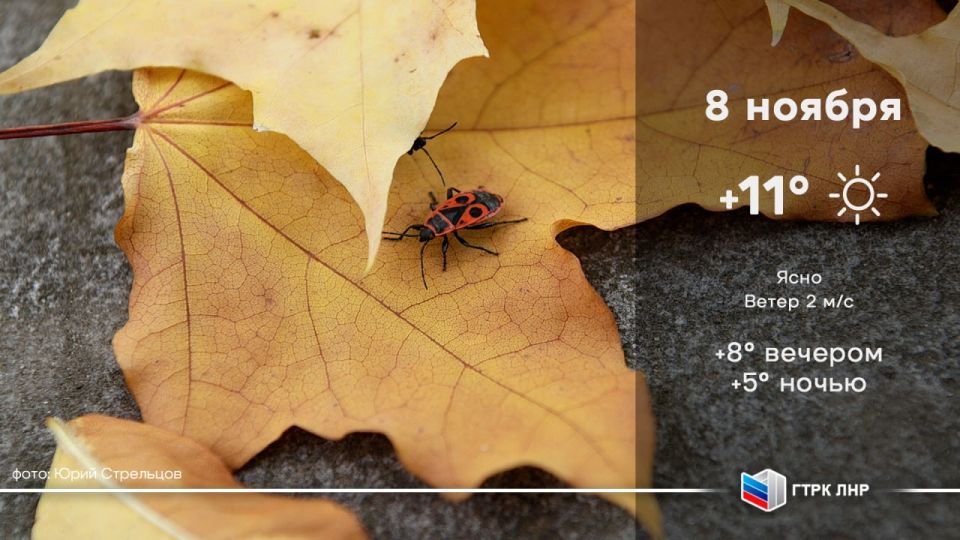 Доброе утро, Луганская Народная Республика!