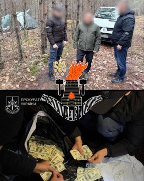 Выжить любой ценой. Начальника отделения Дарницкого управления полиции, который похитил $400 тысяч, нашли в лесу в палатке