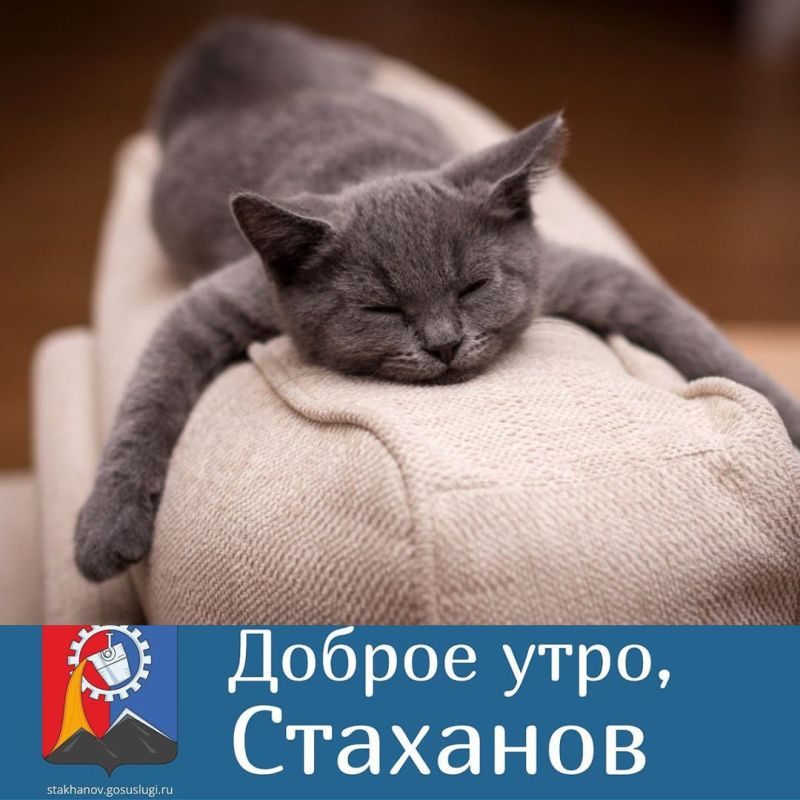 ������ ����, ������ �����. ���������� ����������� ��������� ��� ������� � �������