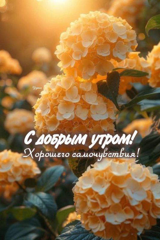 � ������ �����!. ������� 9 ������, �����������! ������� � ������: