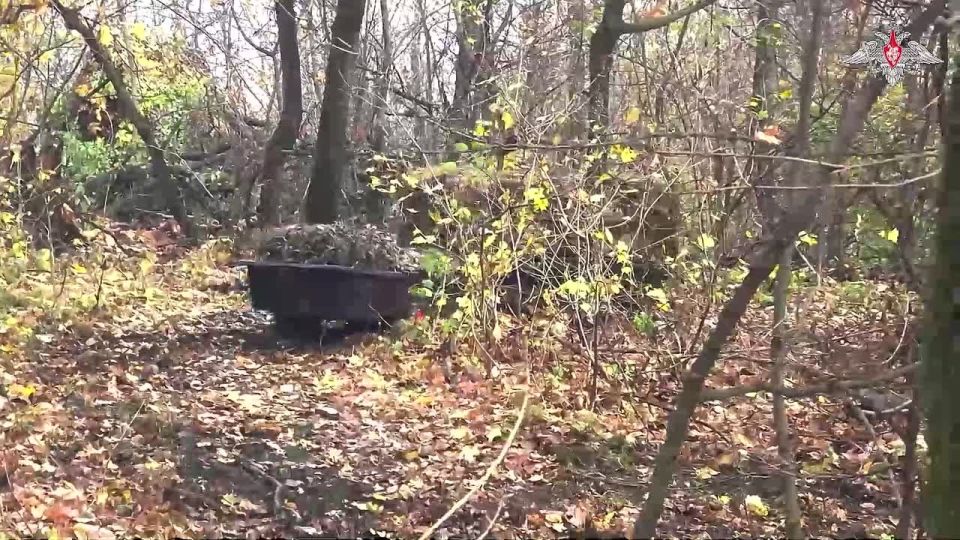 ����������� ��������� 288-� ����������� �������������� ������� ����������� ����� ������ ��������� ������������������ ����������� � ������������� �����������