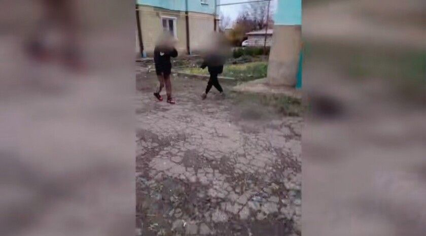 Полиция привлекла к ответственности родителей малолетних живодеров в Первомайске