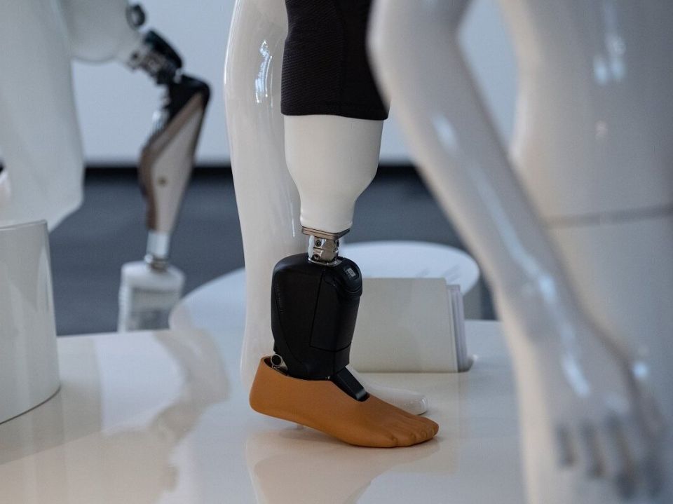 ���� ������: ��������� ��������������� ������� ������ �������� � ��������������� ������� ���������������