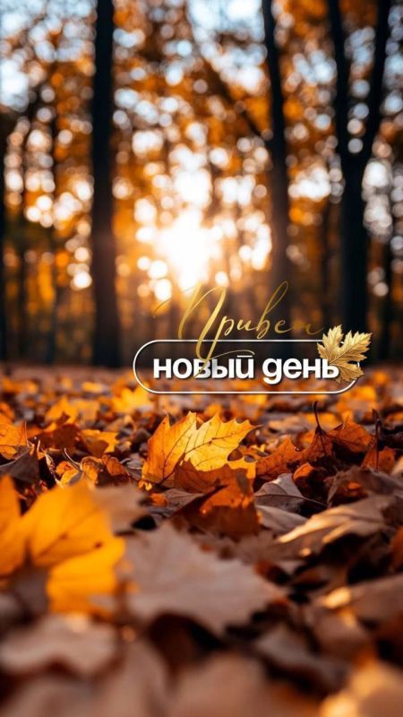 � ������ �����!. ������� 11 ������, �������! ���� ����������