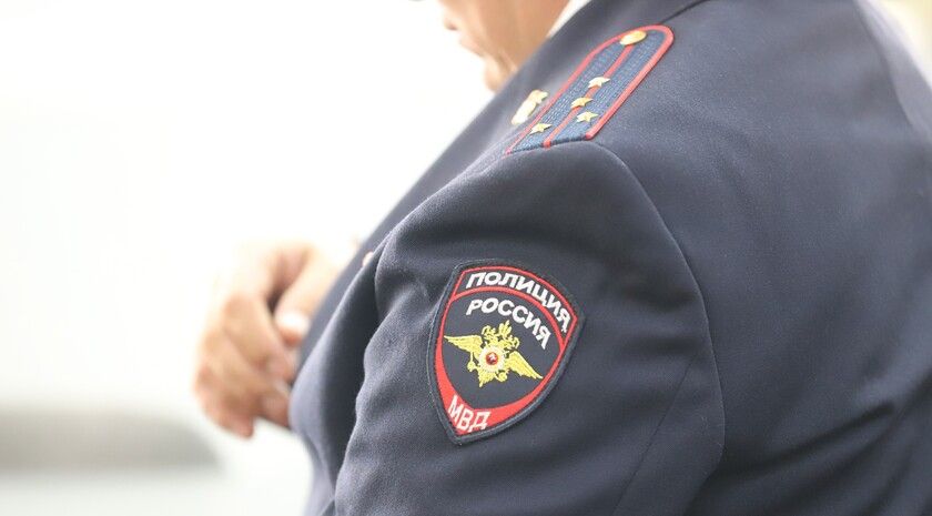 МВД с начала года зафиксировало в ЛНР почти 240 преступлений, связанных с мошенничеством