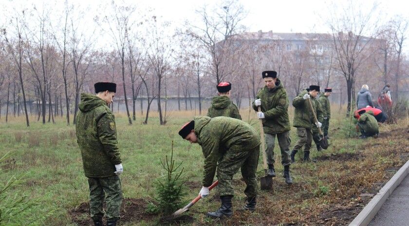 Жители Алчевска высадили 40 саженцев ели в рамках акции «Сад памяти»