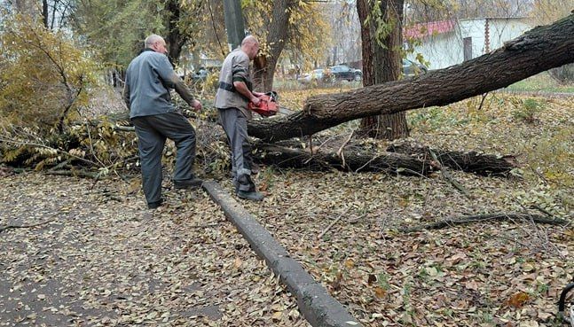 В Молодогвардейске жители расчистили дорогу после падения ветки дерева