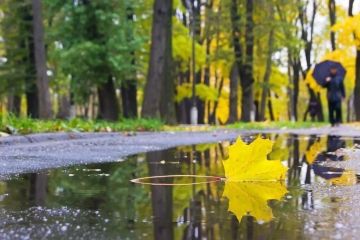 Доброе утро!. Ваш подробный прогноз на среду, 12 ноября: Ночь (00:01-06:00) Пасмурно, +10...+11°C Влажность 95-97%, легкий ветер Утро (06:01-12:00) Кратковременные дожди, +10...+11°C Возьмите зонт! Влажность до 99% День...