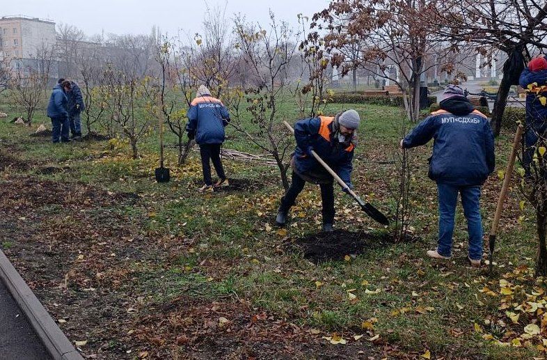 Коммунальные службы проводят работы на территории города