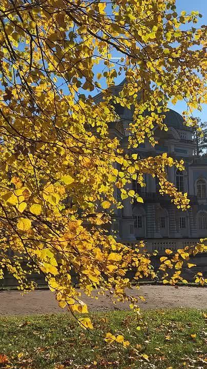 Осень в Екатерининском парке