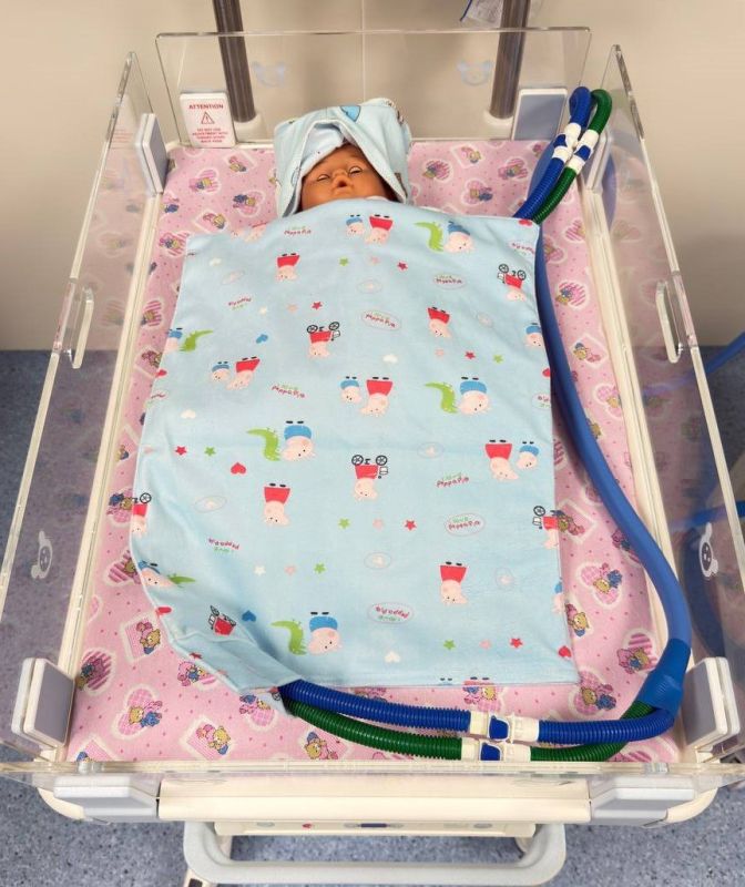 ������� �������: ����� ������������ ��� �������� ������: ��������� ���������� ������������� ���� �������� ����������� ������� "�������� ���"