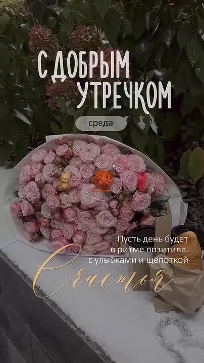 С добрым утром, жители Новоайдарского округа! Всем замечательного настроения на весь день!