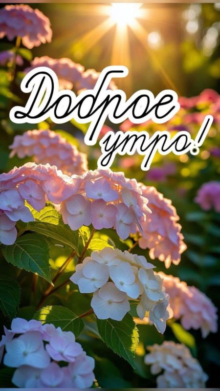 � ������ �����!. ������� 13 ������, �������! ���� ����� ��������������� � ������������� ������