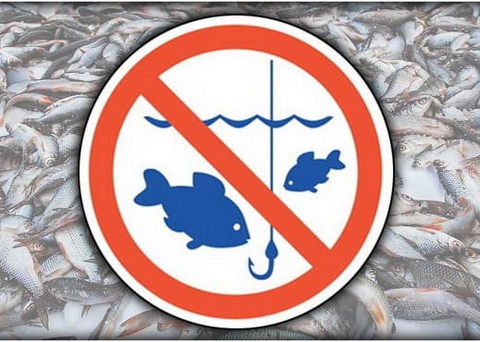 Запрет на ловлю рыбы в зимовальных ямах на водных объектах Луганской Народной Республики