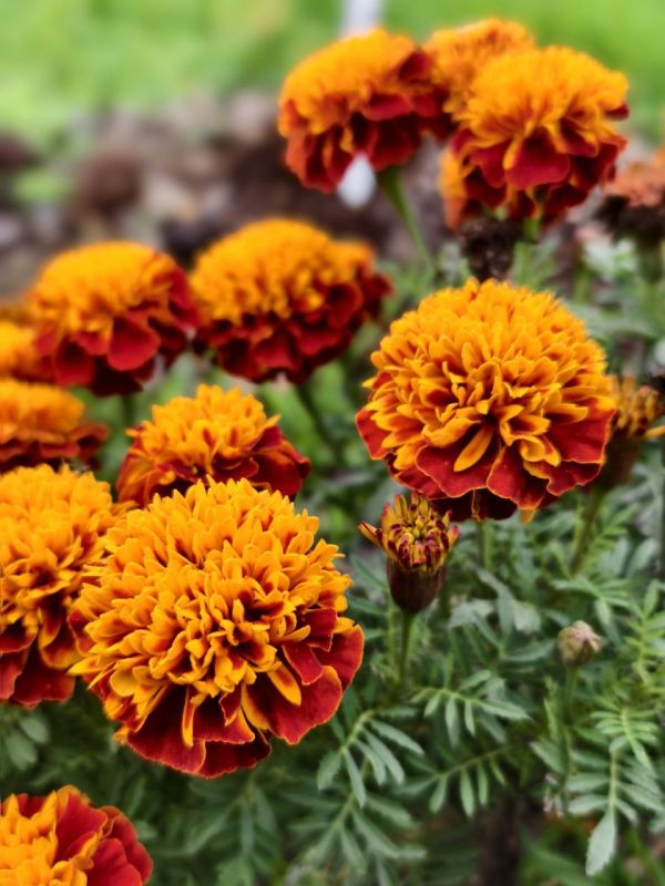 Доброе утро, любимый Свердловск!