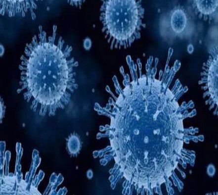 Профилактика ротавирусной инфекции