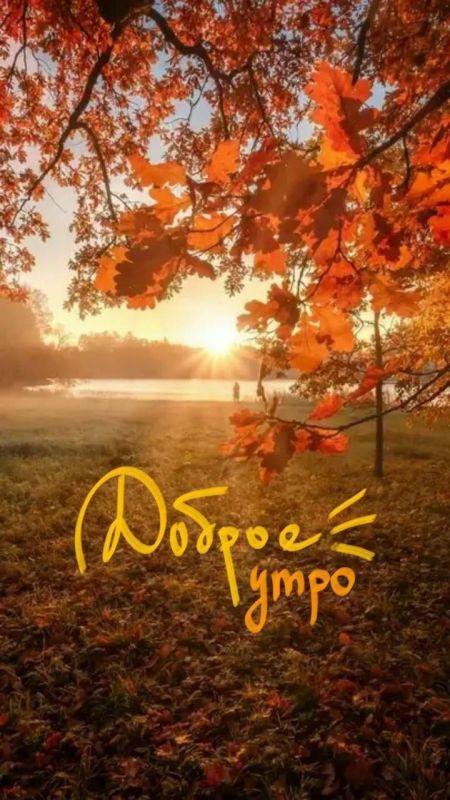 � ������ �����!. ������� 14 ������, �������! ������� � ������:
