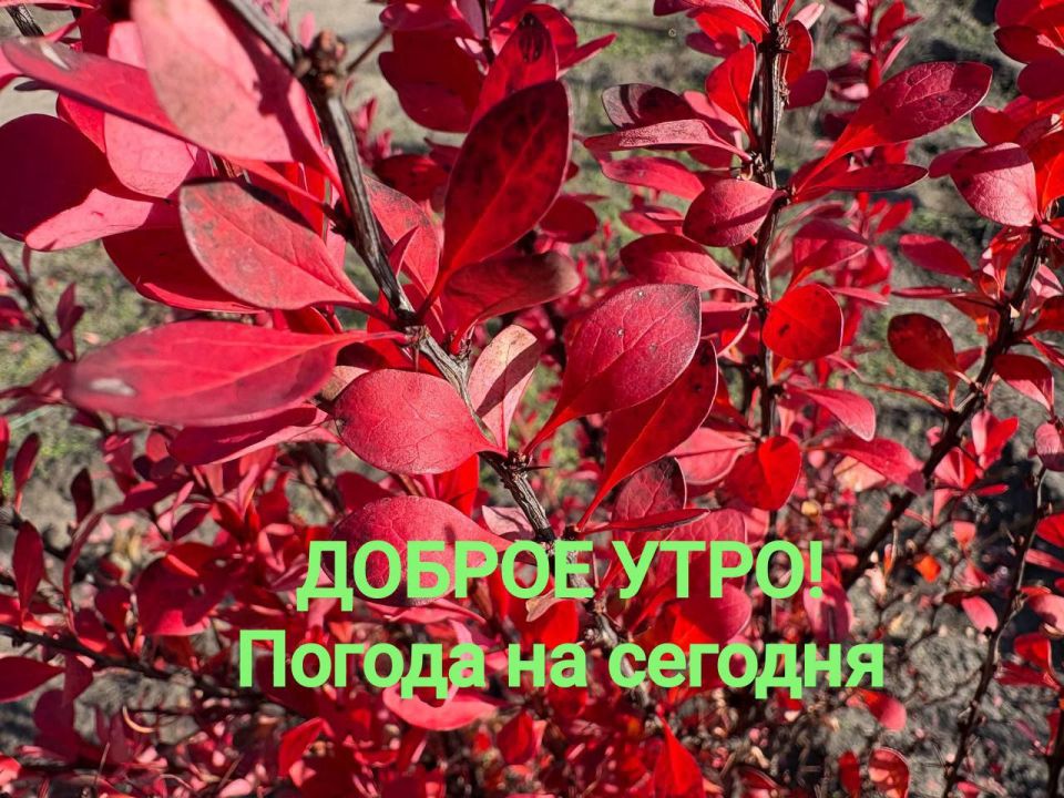 ��� ��������� ������� �� �������, 14 ������: