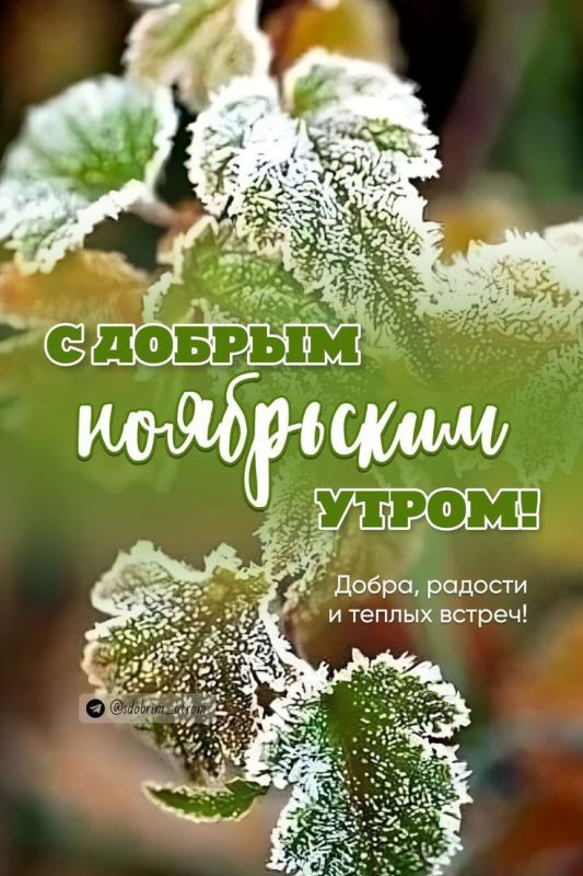 � ������ �����!. ������� 15 ������, �������! ������� � ������: