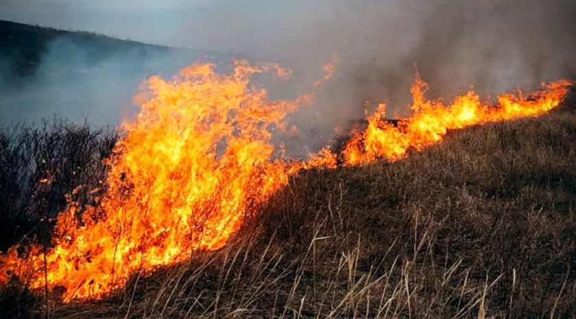 ВСУ поджигали леса и степи в ЛНР с помощью беспилотников — МЧС