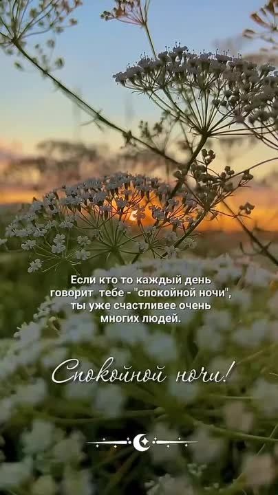  ...    , , .     .        ,     ,  