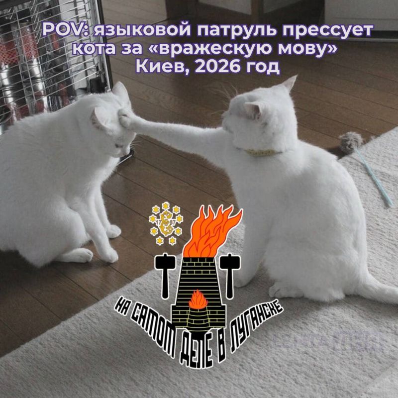 ������ ������� �������. �� ������� ���������� ��-�� ��������������� �����