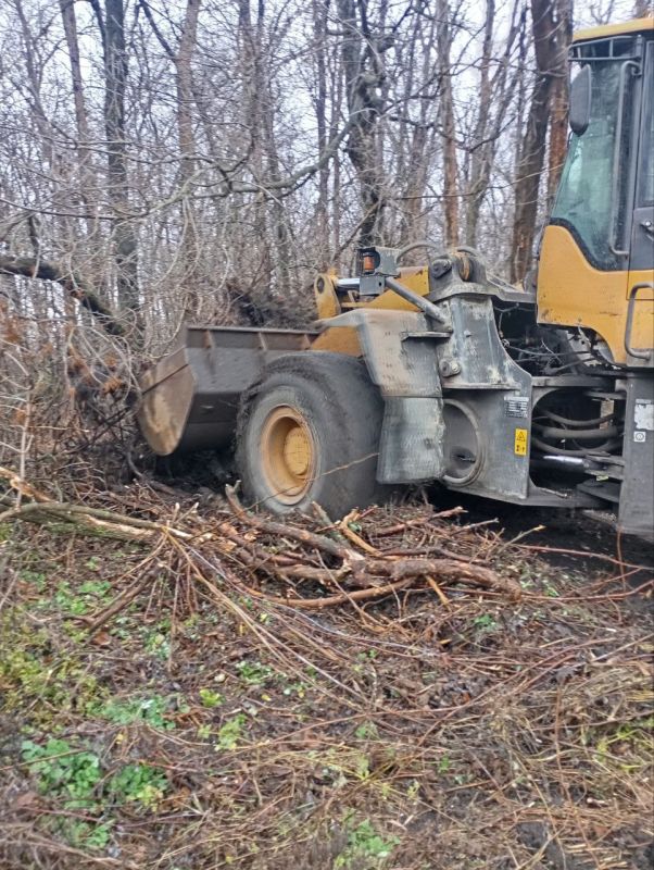 Андрей Рубанцов: Коммунальные службы продолжают проводить плановую уборку территорий кладбищ городского округа
